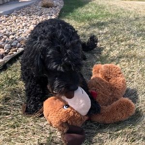 Meet your Posher, Lori